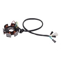 ביצועים גבוהים אופנוע סליל rotor חלקים מנוע מגנטו רוטור ערכה עבור דרבי senda