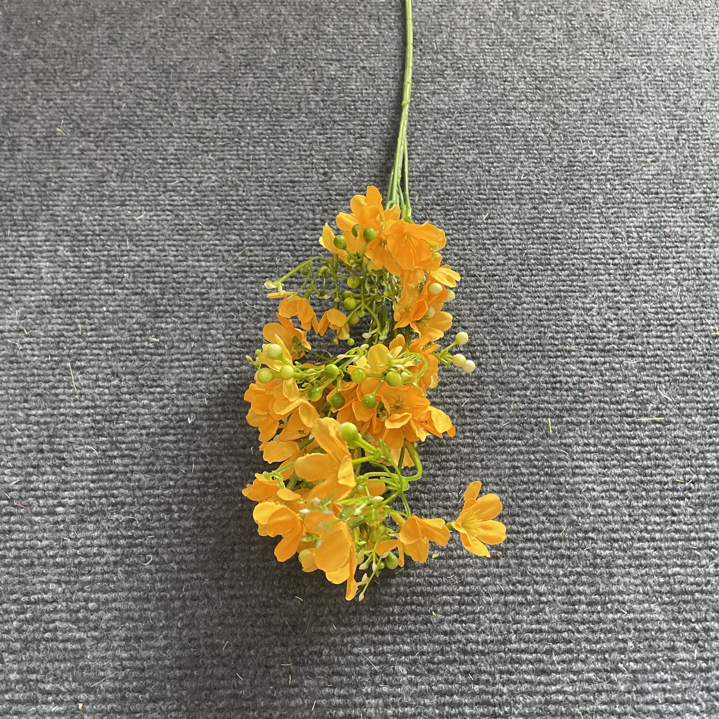 Orange clair