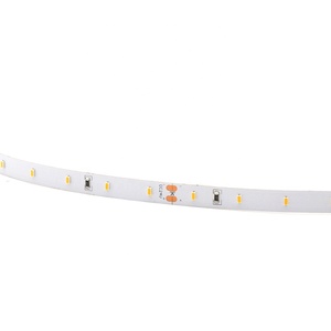 24V 8mm Width 60Leds SMD <strong>3014</strong> Waterproof <strong>Led</strong> Light Strip Lamp Smart - Product Image 5
