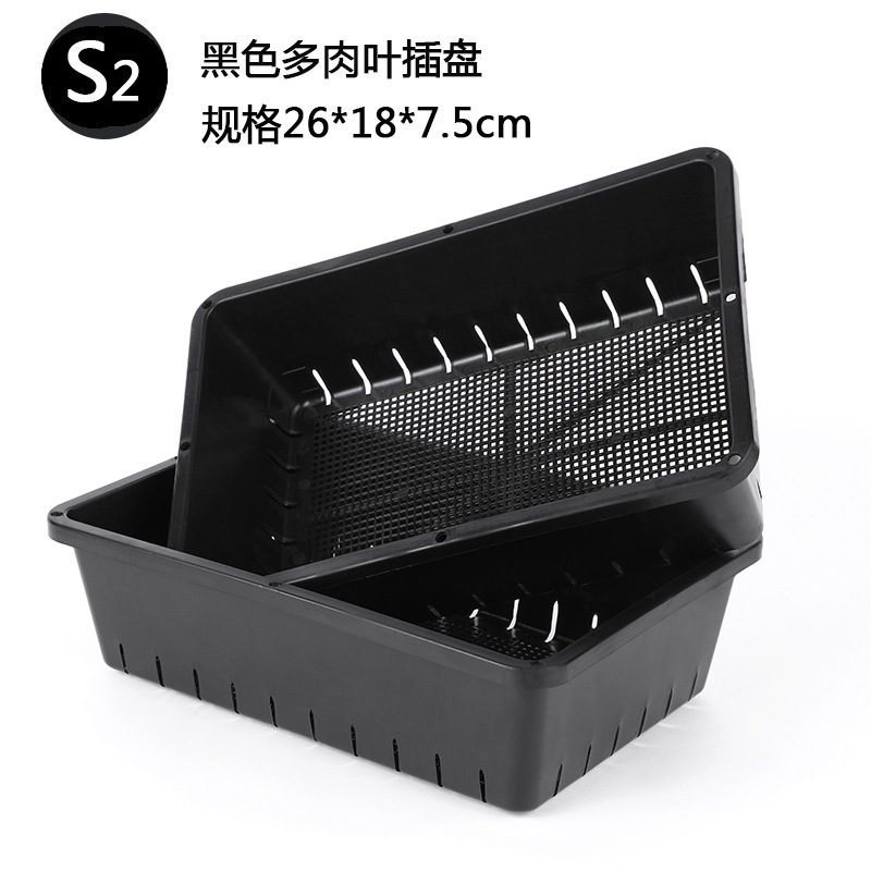 S2 noir-26*18*7cm petit plateau succulent