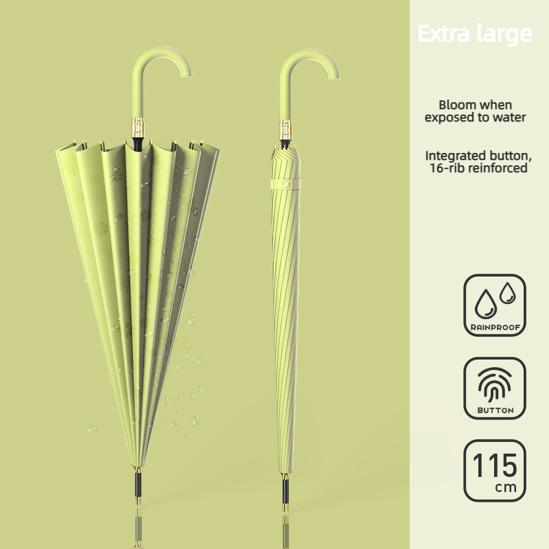 Extra Large Matcha Green