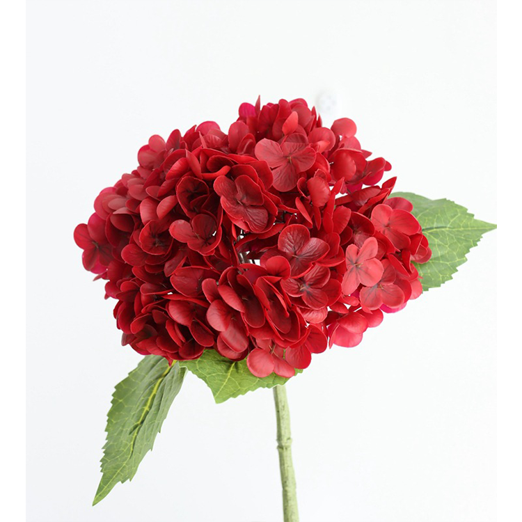 Rojo