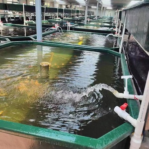 大型大型大型屋内繁殖魚鯉タンクアクセサリー水族館ガラス窓グラスファイバーfrp水槽