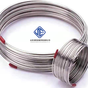 Capillary Stainless Steel <strong>Pipe</strong> Free Cut 0.5 0.6 0.8 1 1.2 1.5 <strong>1.6mm</strong> Stainless Steel Tube in Stock - Product Image 2
