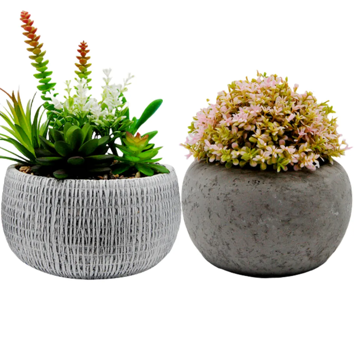 Ciotola di narciso di fiori creativa in vaso da pavimento a soffitto con fioriere in cemento vasi di fiori