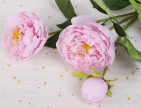 ชมพูเข้ม