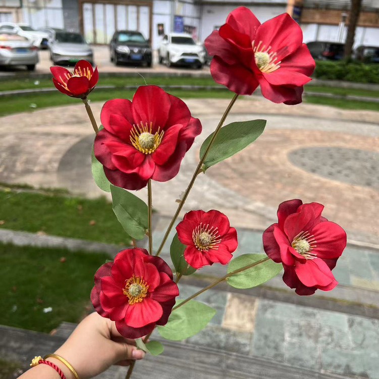 Fleur de papillon rouge