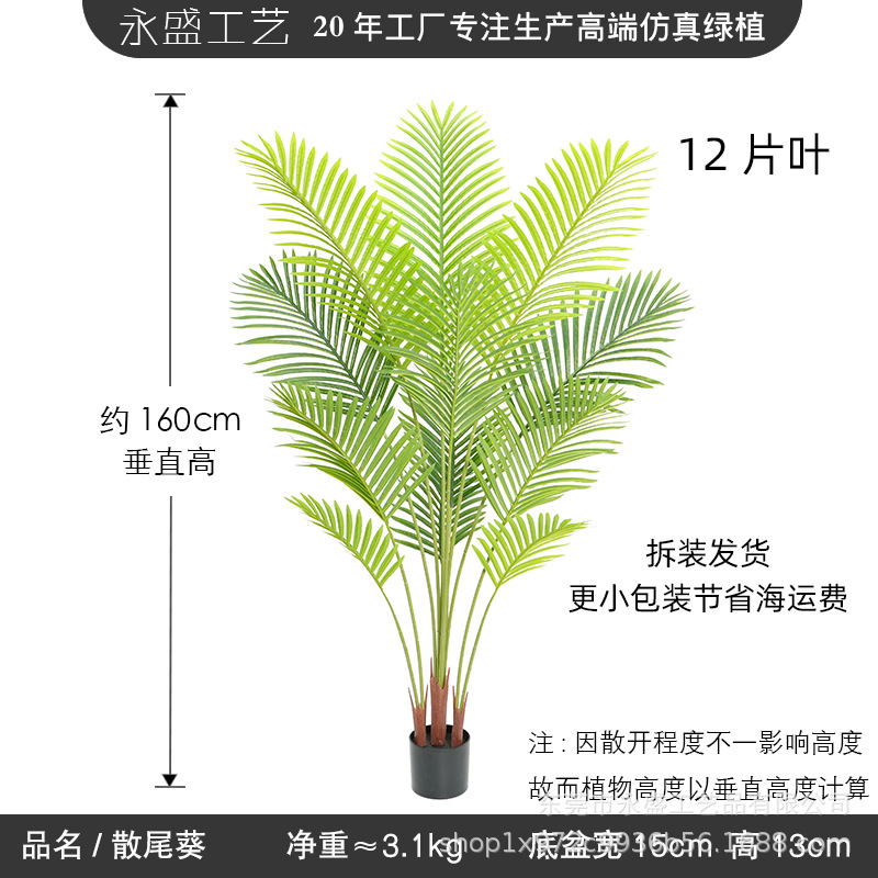 160cm loose anemone-a