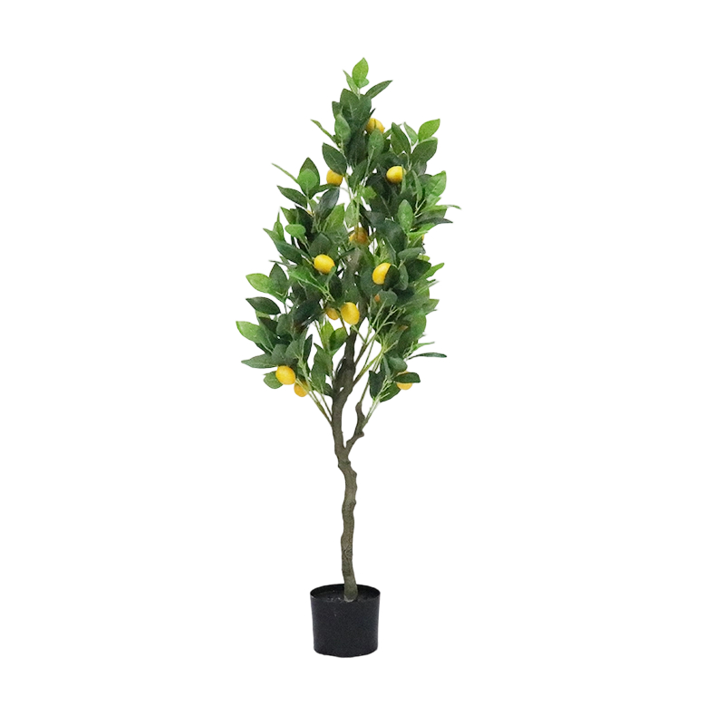 90cm