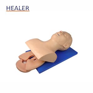 Adult PVC Endotracheal Intubation Training Model <strong>Human</strong> Airway Trachea Intubation Manikin for Medical Science - Product Image 2
