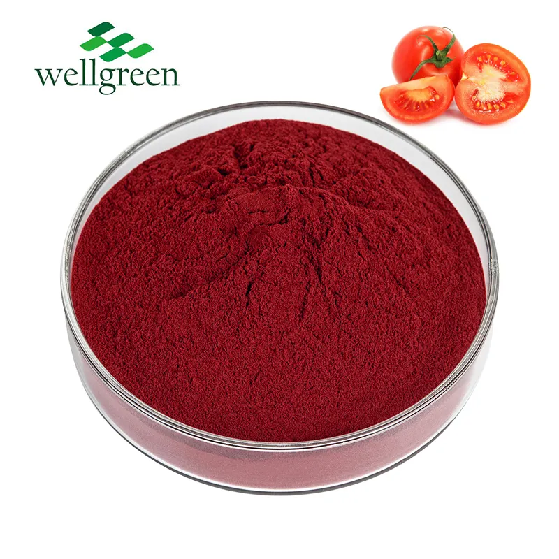 Polvo de extracto de tomate antioxidante natural de grado alimenticio Wellgreen 10% polvo de licopeno