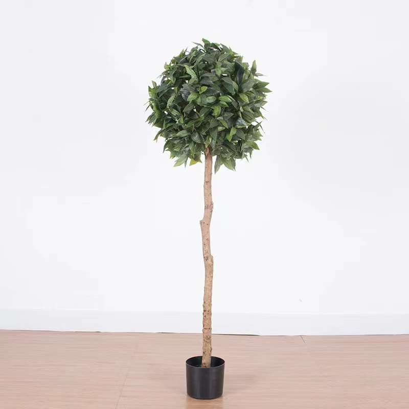 120cm/47,2 pulgadas - laurel