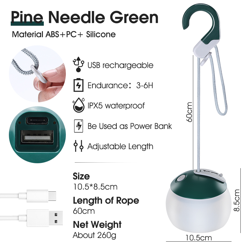 Pin Aiguille Vert
