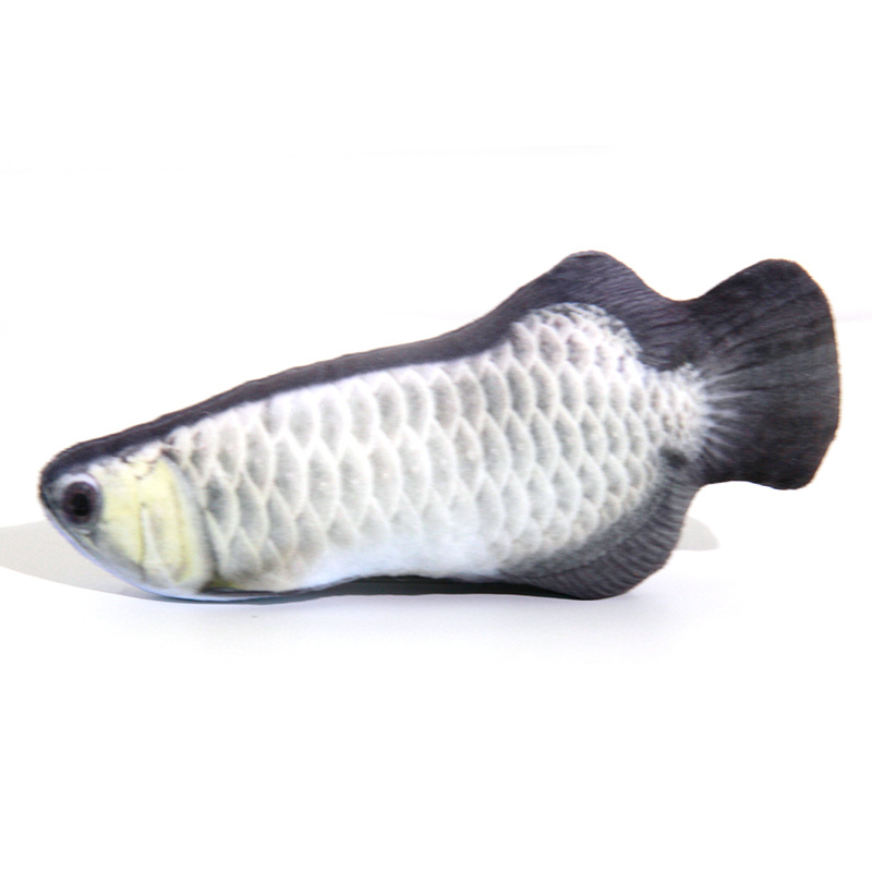 Arowana argenté