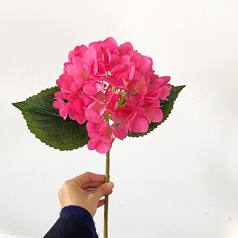 Rosa roja