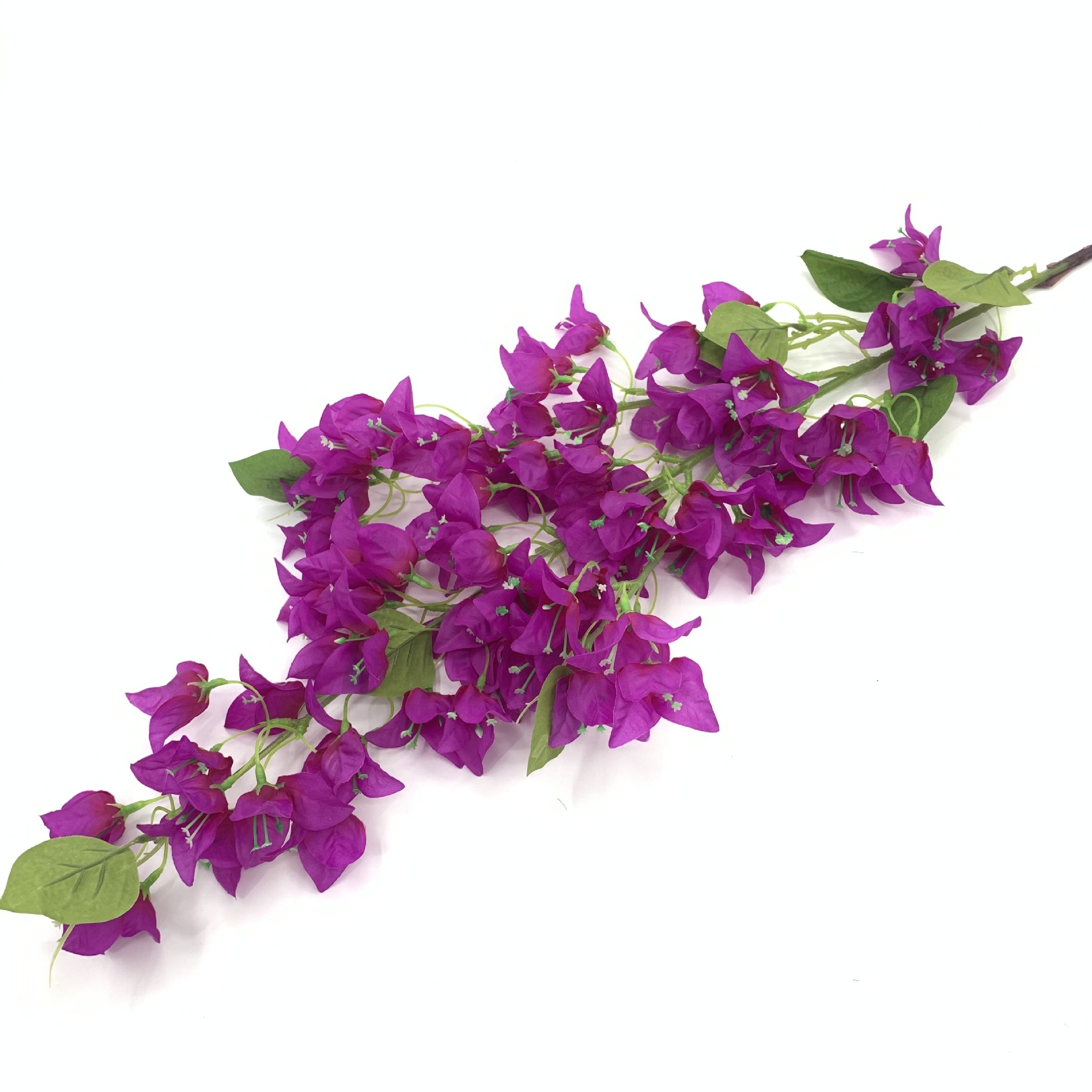 Purple 3