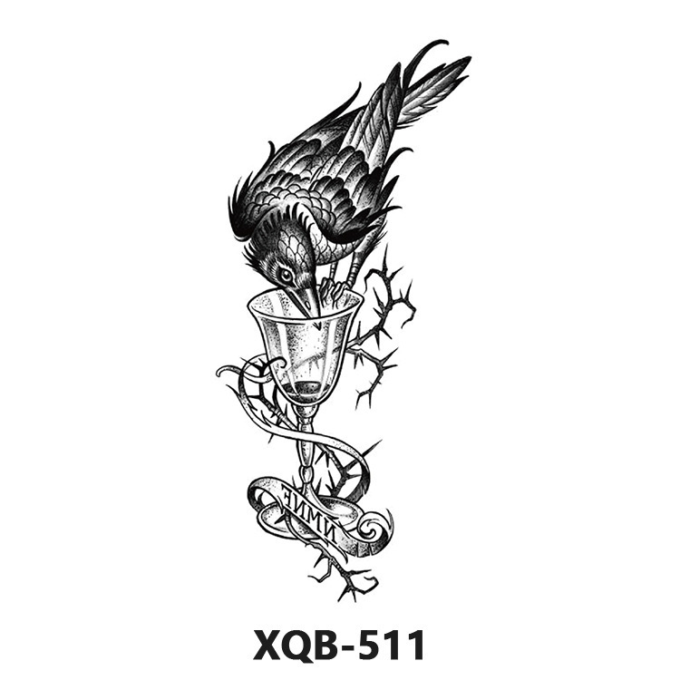Numéro de modèle: XQB511