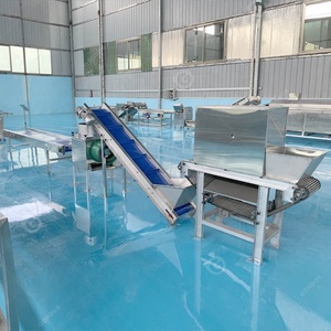 Tipo di catena pneumatica piccola produzione di macchina di buccia di processo a secco di aglio - Product Image 3