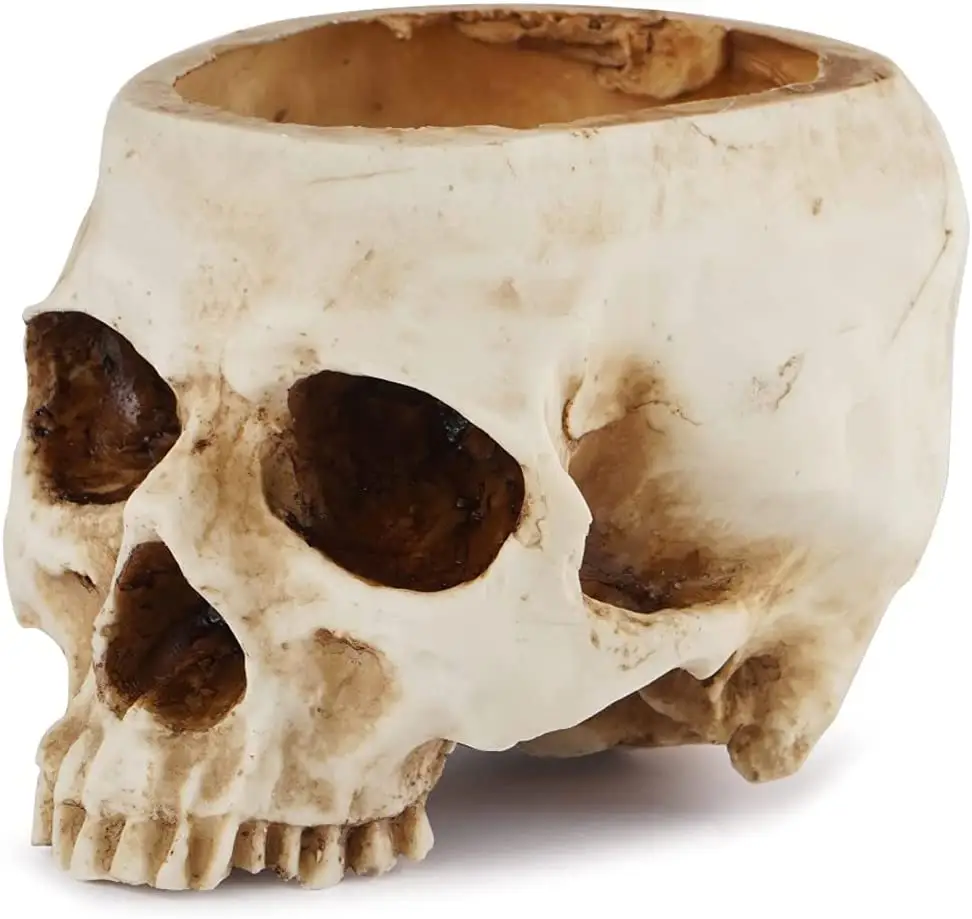 Bán Buôn Tùy Chỉnh Trong Nhà Mô Hình Bàn Skull Planter Resin Skull Shaped Flower Pot Đối Với Trang Chủ Văn Phòng Bàn Trang Trí