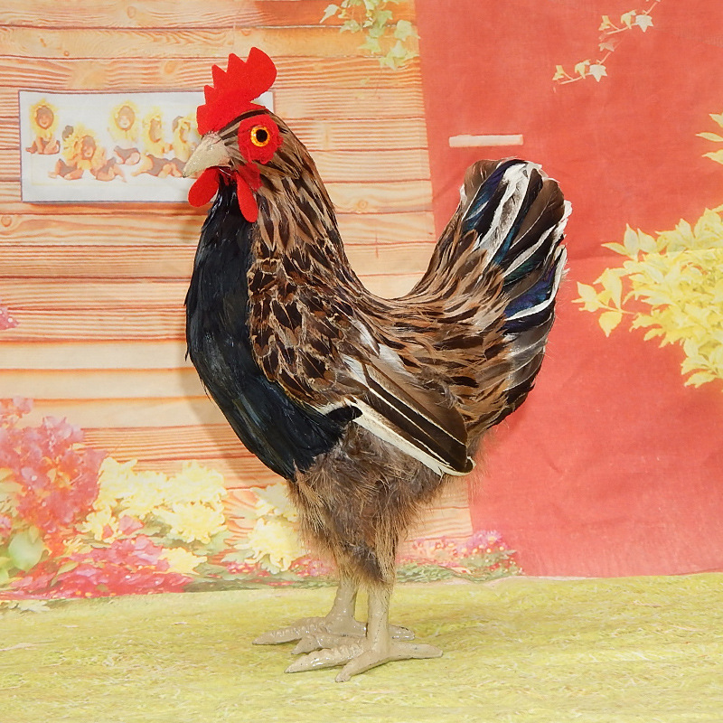 Number two standing hen
