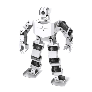 Ahududu PI 5/4B insansı robot Python programlama TonyPi Pro izleme kapmak AI görsel tanıma