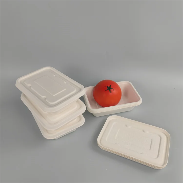6 compartment bagasse tableware food tray
