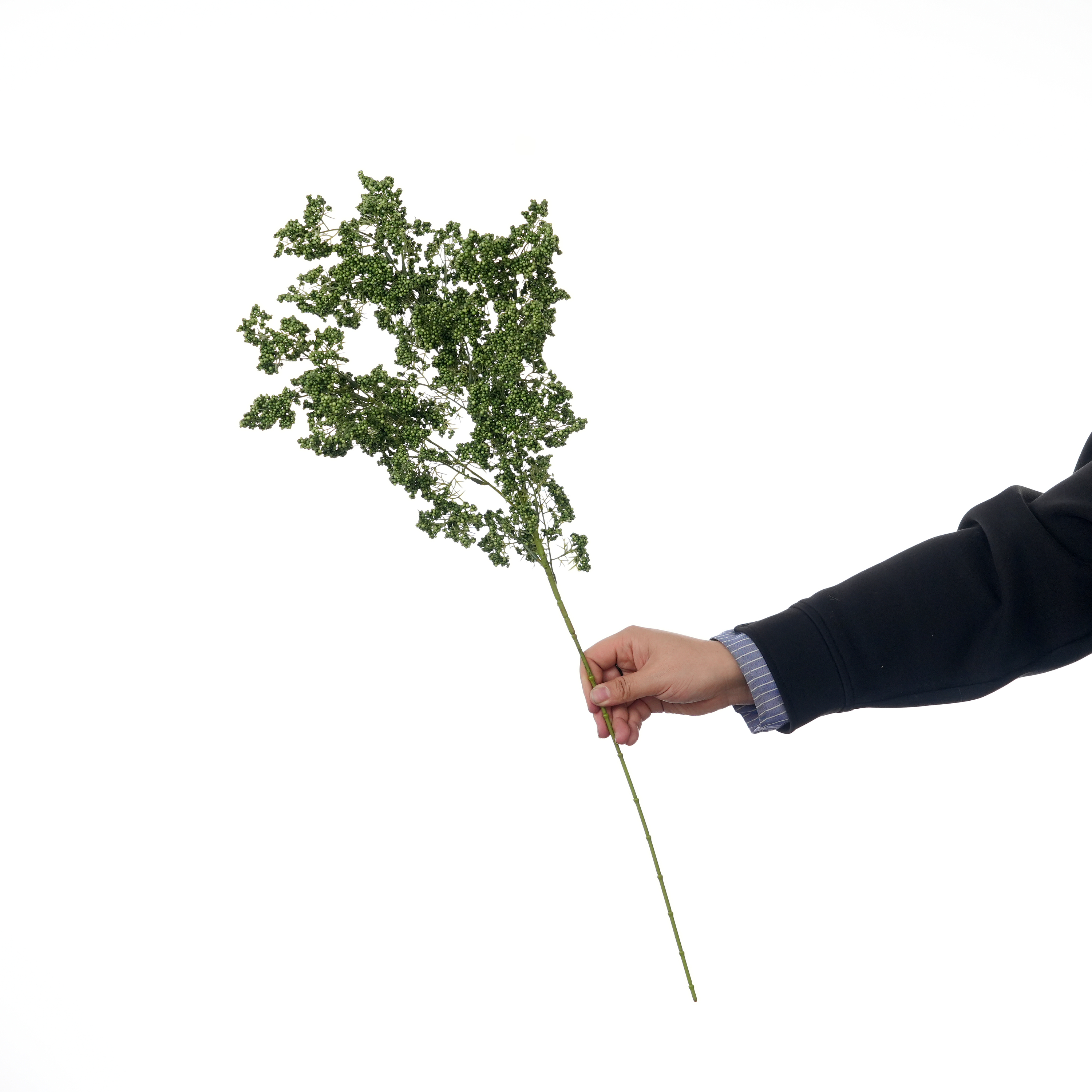 Vert foncé