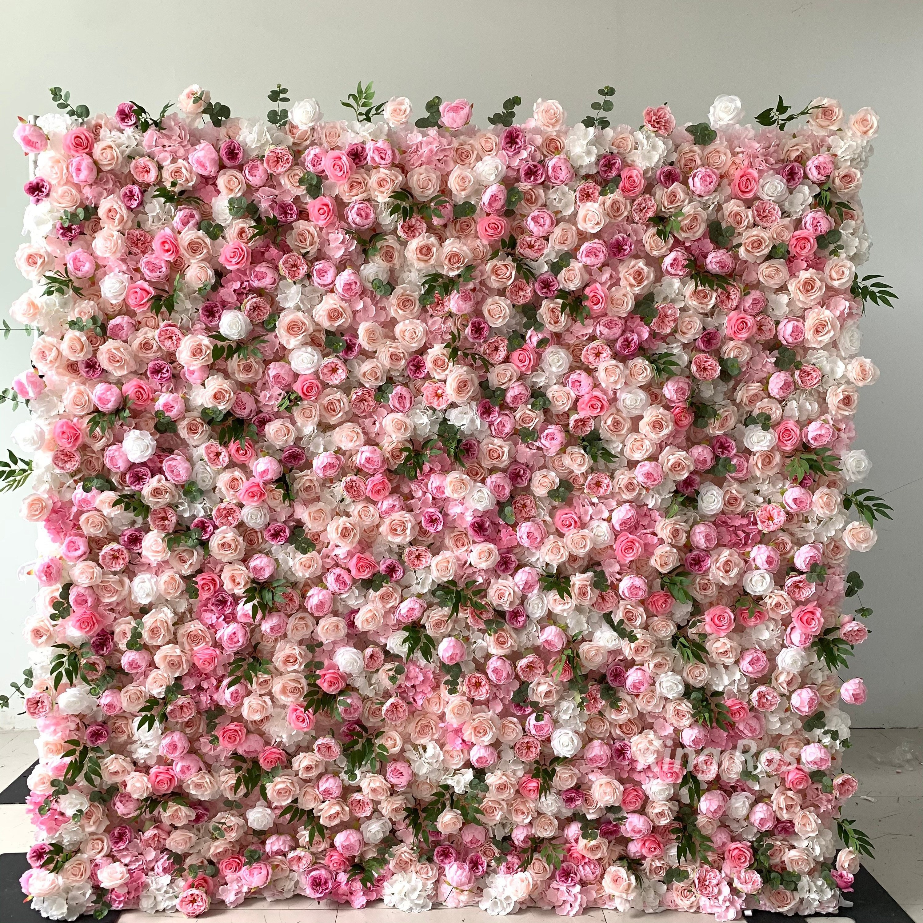 Rosa 4