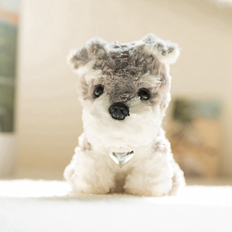 Schnauzer