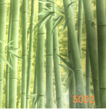 5002