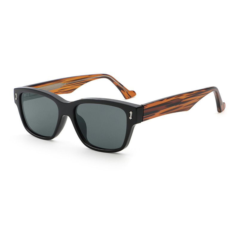 Monture C3 noir brillant avec verres gris