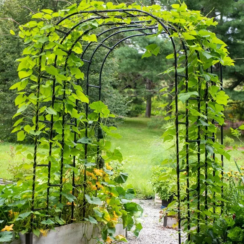 Arco de jardim para escalada, suporte para decoração de plantas de videira, jardim, quintal, plantador, suporte para festa de casamento, outono