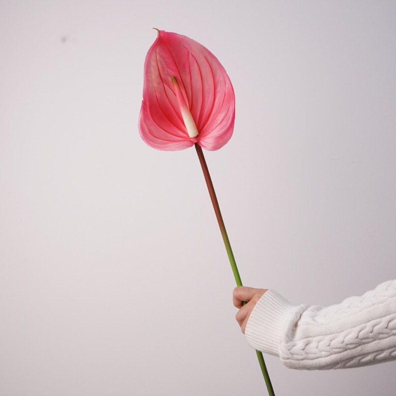Gomme souple anthurium-rose