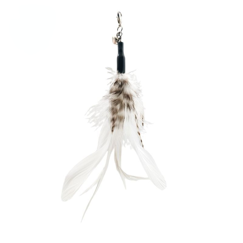 Tête de plume blanche