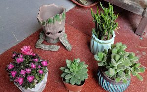 Büyük Groot çiçek saksısı Pot araç seti ile ağaç adam sevimli Model bahçe Pot çiçeklik kalem Pot Guardians - Product Image 3