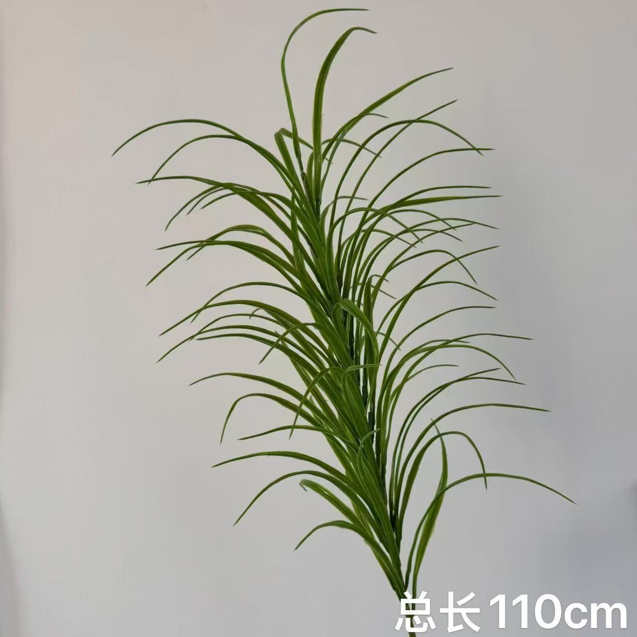 Original color onion grass