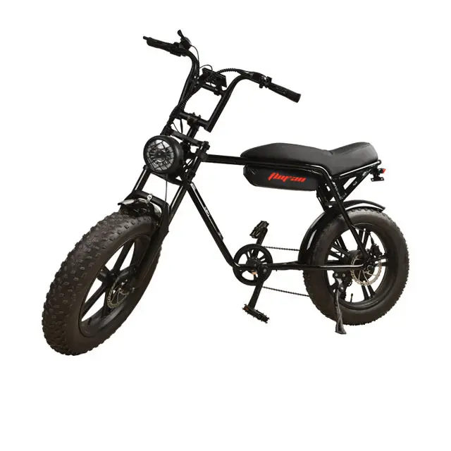 ร้อนขายสินค้า EB2 20นิ้วยางชายหาดครุยเซอร์จักรยานไฟฟ้า500/750วัตต์เมืองจักรยานไฟฟ้าจักรยานไขมัน
