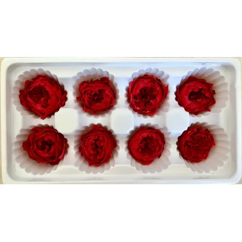 Wholesale Preserved Peony 10 colors Forever Keeping Fresh Preserved Austin Roses