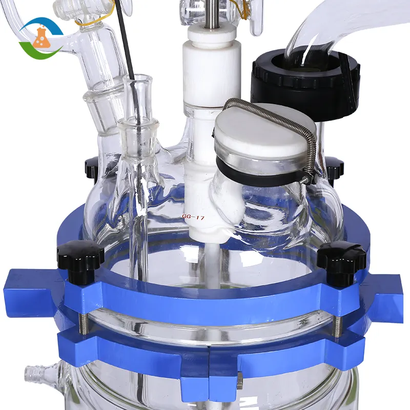 Nieuw Product Ultrasone Chemische Reactor Met Roerder Mantel Glazen Reactor