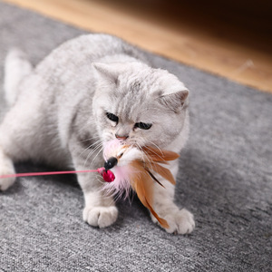 Umwelt freundliche interaktive Bewegung Haustiers pielzeug Plüsch Plastik glocken Elastische Netze Federn Quasten für Katzen und Hunde - Product Image 4