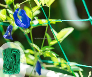Es gibt eine Schnur seile auf jeder Ecke des Garten netzes kann es jede Länge schneiden, basierend auf Bedarf Pflanzen kletter netz - Product Image 3