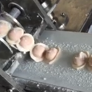 Chinesische Fabrik Automatische Multifunktions-Knödel herstellungs maschine Kommerzieller Knödel hersteller - Product Image 5