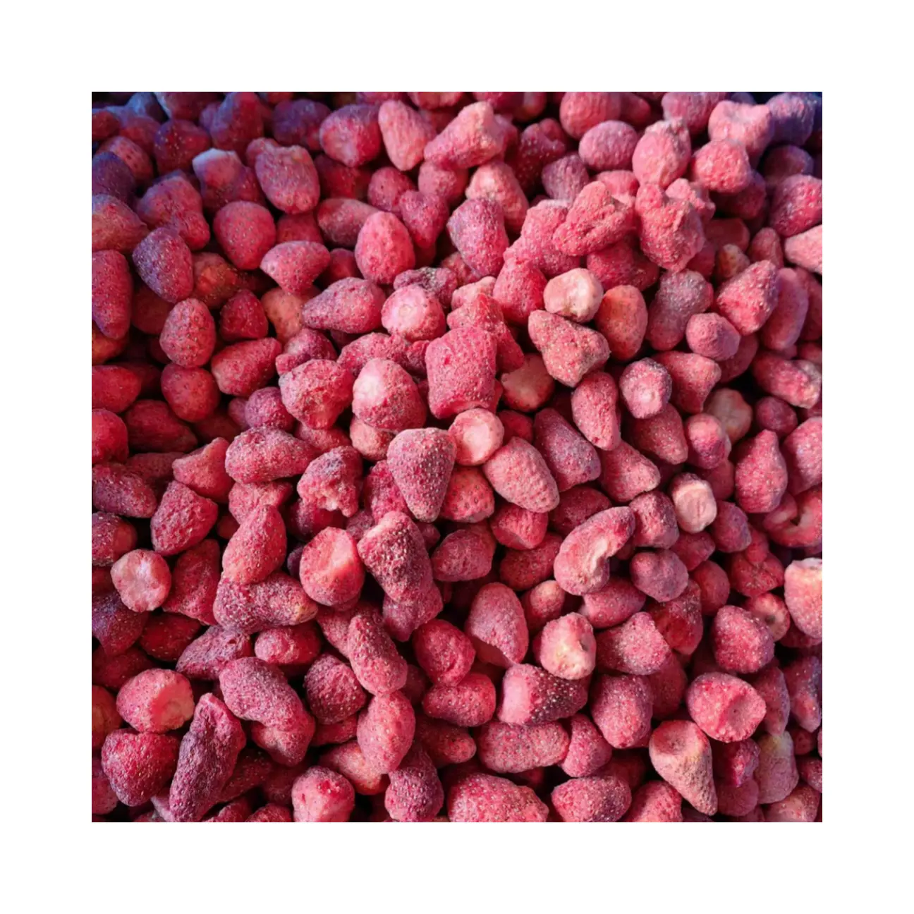 무료 샘플 100% 천연 아니 방부제 대량 가격 동결 말린 딸기 좋은 가격 신속한 배달 공장 가격