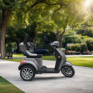 2024 Nova Chegada Scooter de Mobilidade Triciclo Elétrico para Viagens ao Ar Livre com Reverso para Idosos