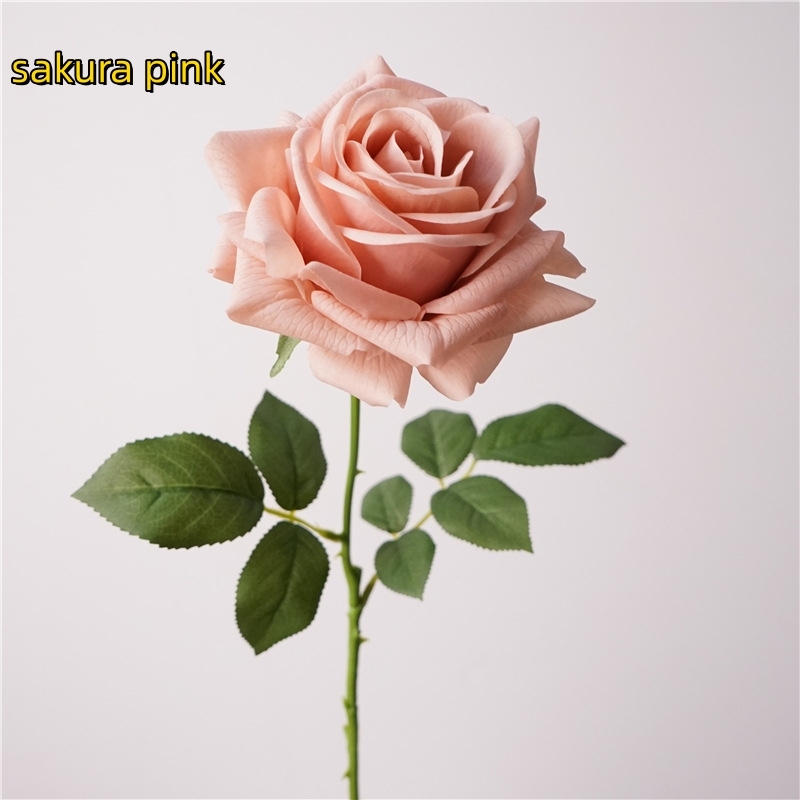 rosa sakura