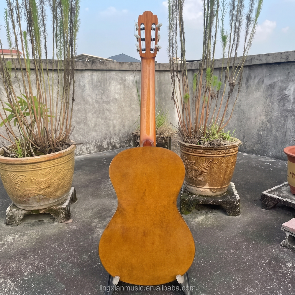 Violon de style italien Vanish