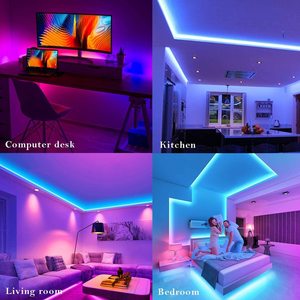 <strong>UL</strong> Certification Digital COB <strong>LED</strong> Strip 420 <strong>LEDs</strong> WS2811 Addressable RGB Dream Color Strip 24V Flexible COB Light Strip - Product Image 6