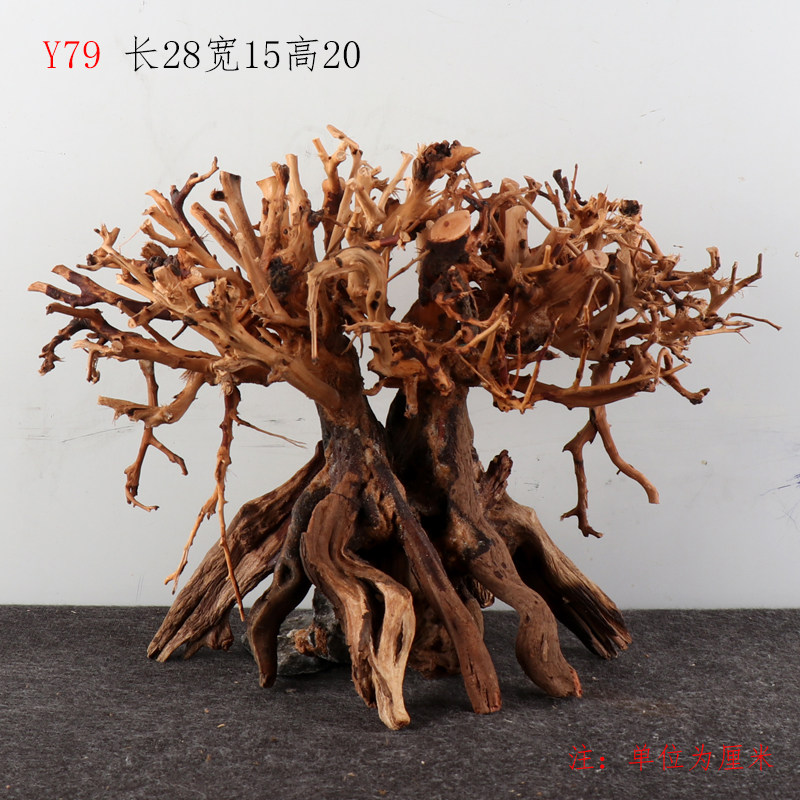 Y79