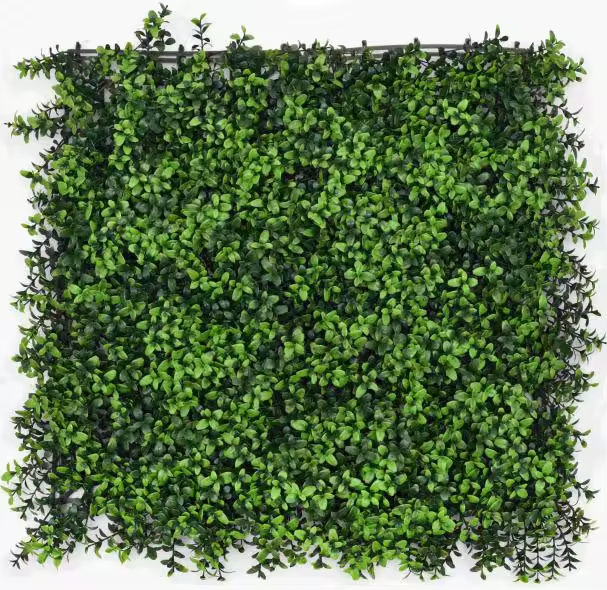 Green-RSF-50*50cm-7