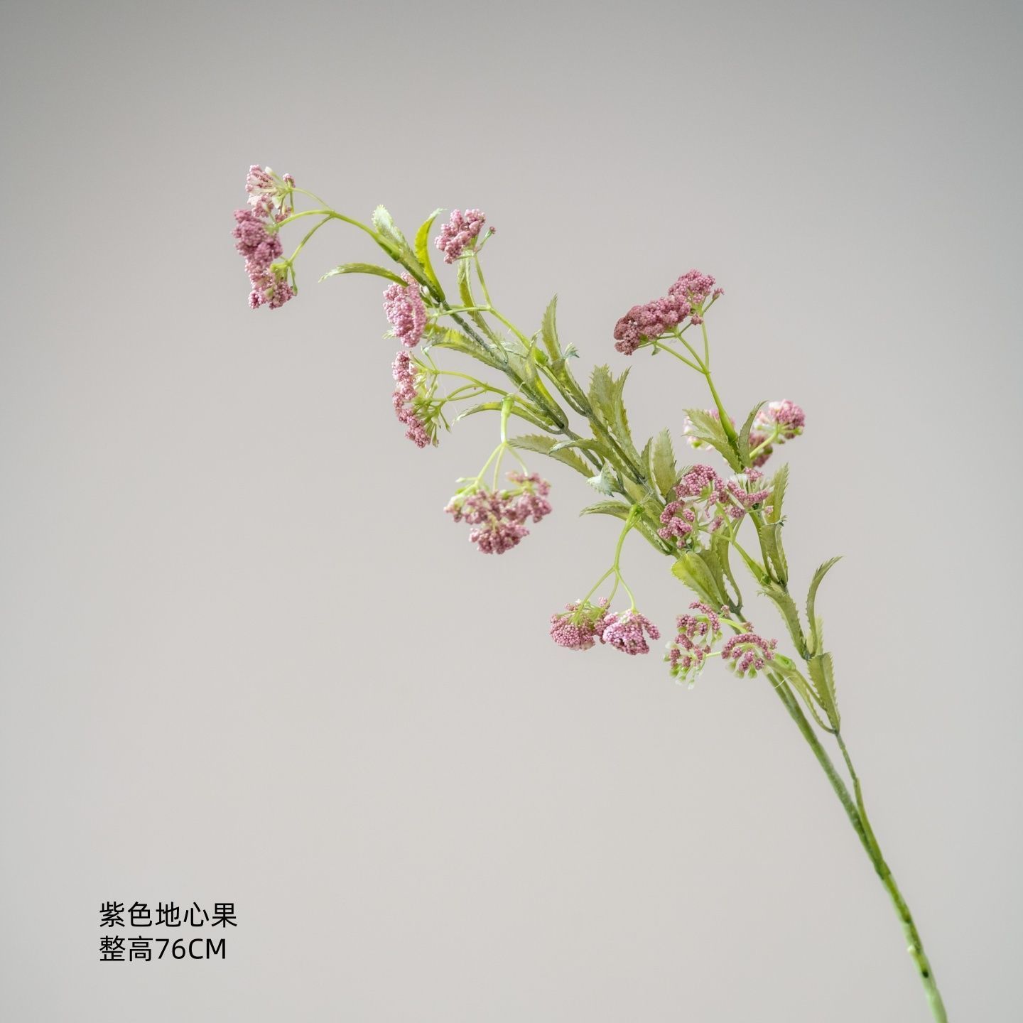 Fruit violet du noyau de la terre